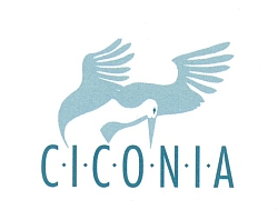 Ciconia Lichtenstajn